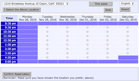 Screen shot of the online appointment calendar